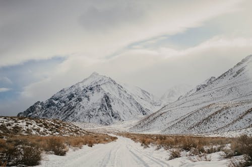 View of a Road and Mountains Covered in Snow 