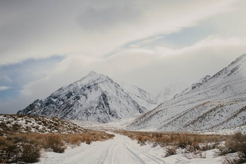 Kostenloses Stock Foto zu berge, bewölkt, eisig