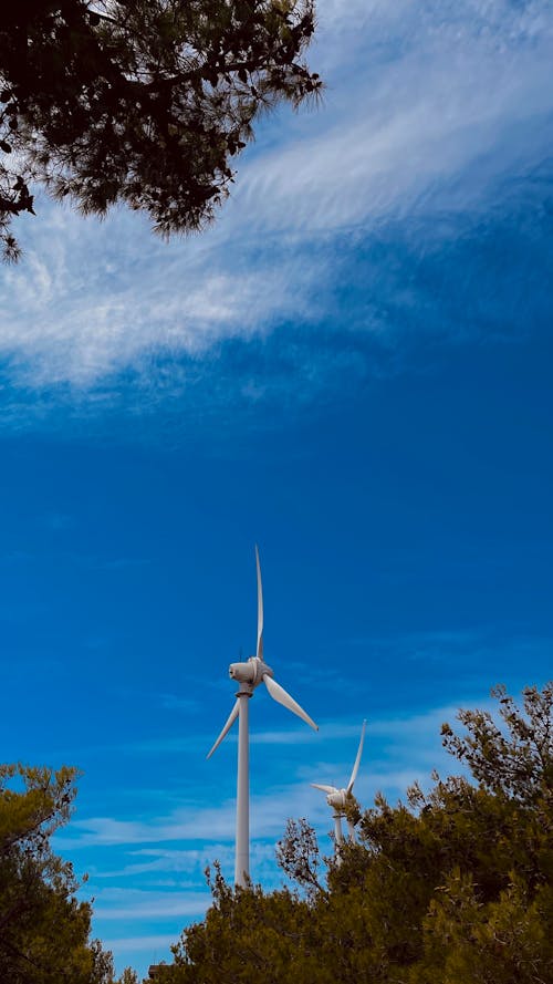 Foto profissional grátis de energia, energia alternativa, vento