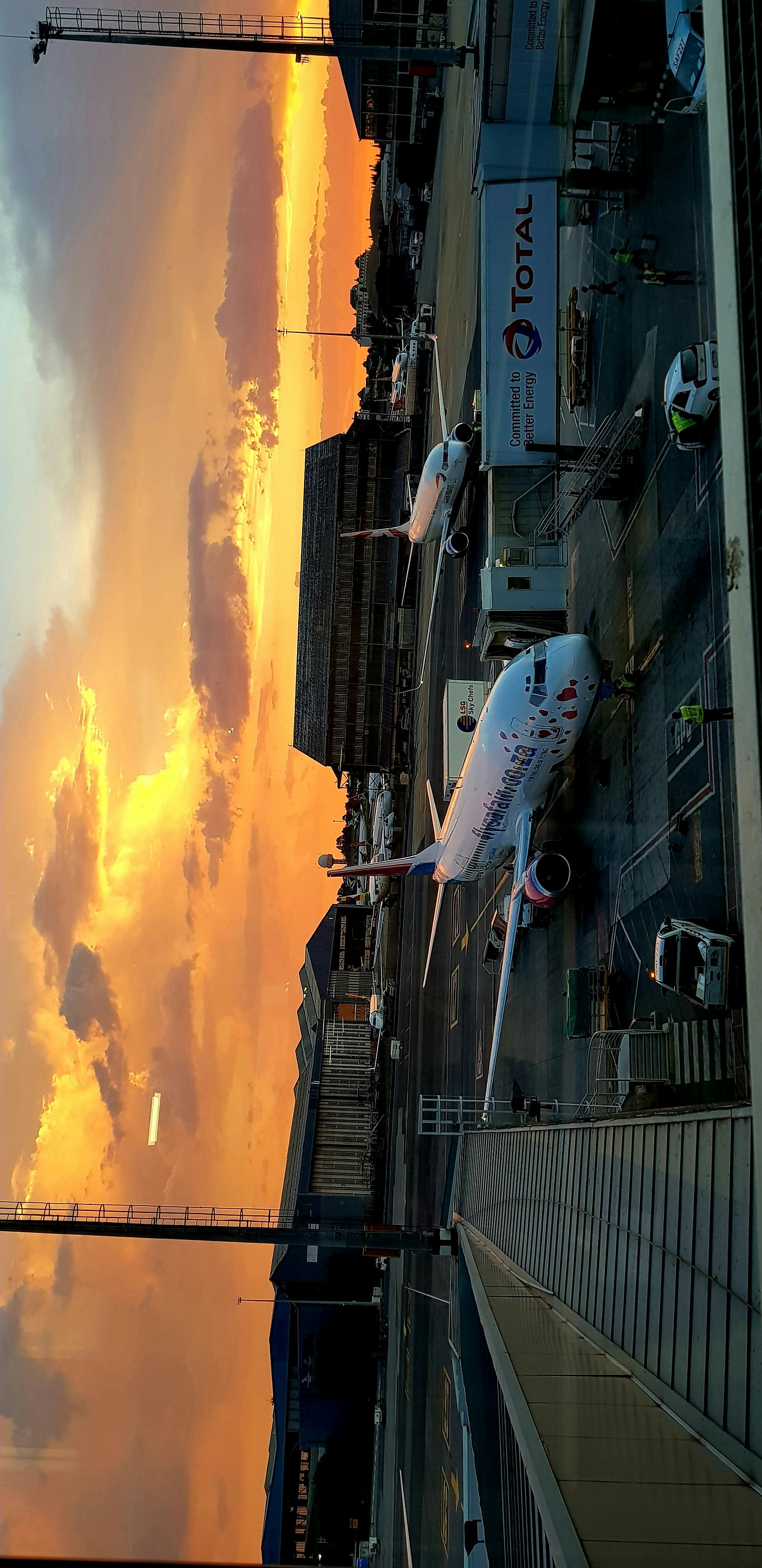 고급 외제차 중고 리스