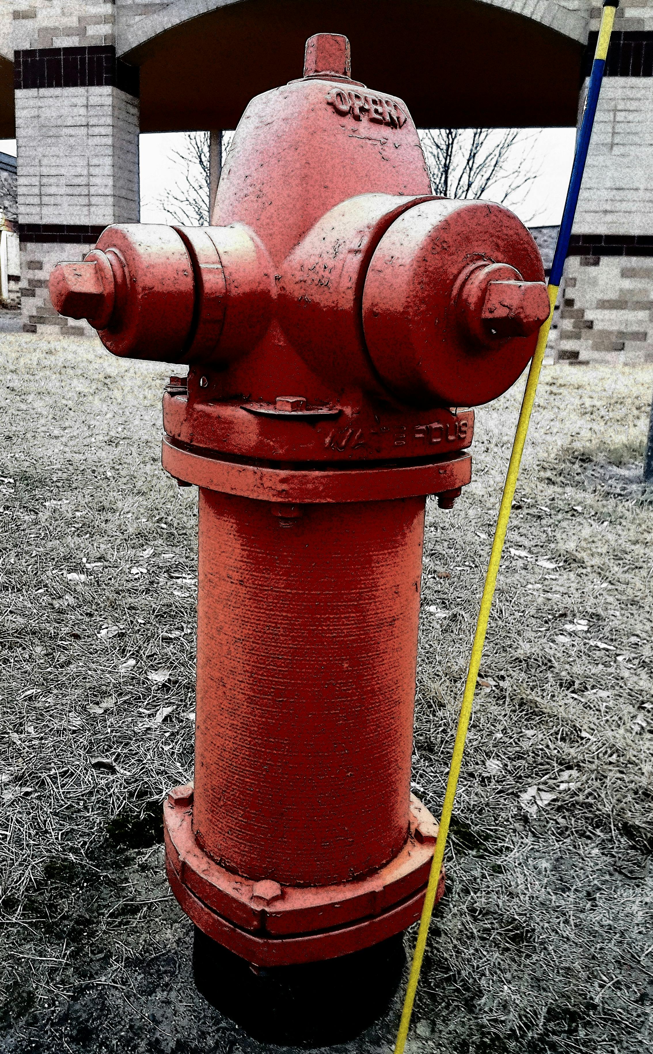 Free stock photo of #fire hydrant
