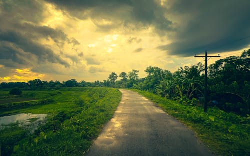 Free stock photo of alone, alone in road, bangladesh