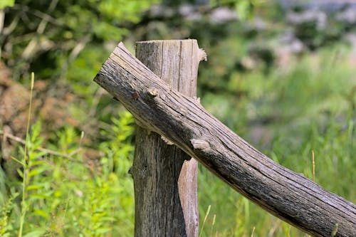 Wooden Fence Post