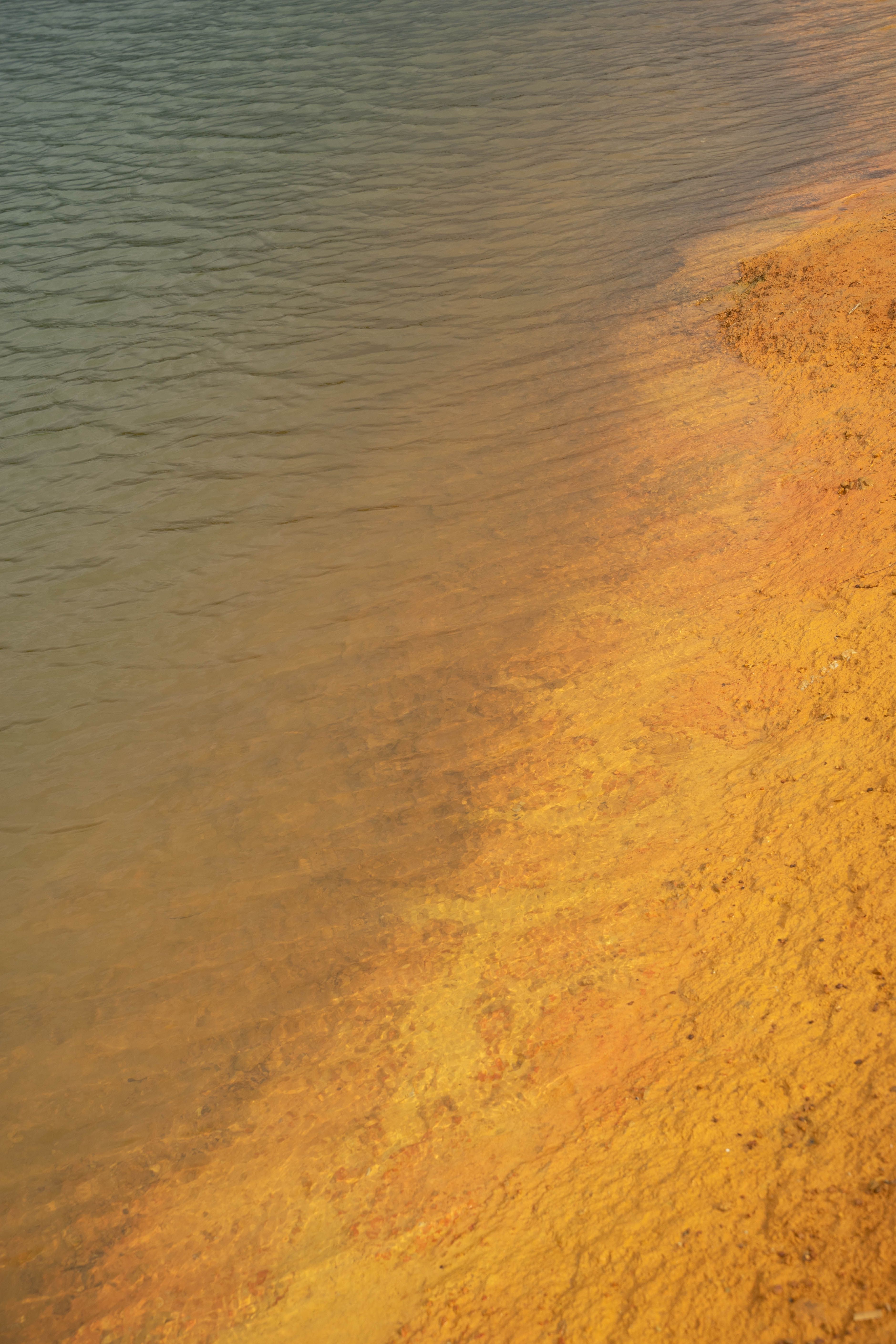 A tranquil beach scene showing gentle waves meeting warm yellow sand under the sun.