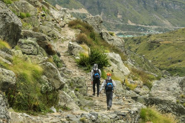 Transfer / Travel in Badrinath