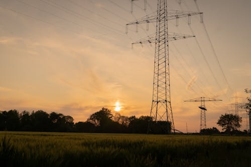 View of a Meadow with Utility Poles and Trees in the Countryside at Sunset