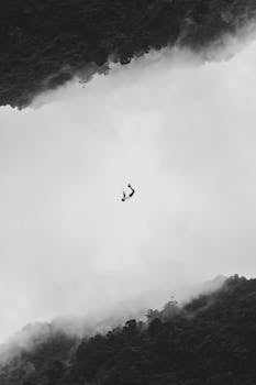 在台湾石顶区的雾和森林背景下，半空中映出一个人形剪影