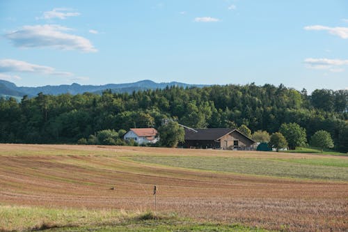 Rural Field and Farm behind