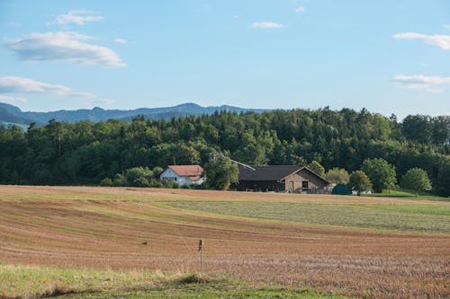 Immagine gratuita di alberi, azienda agricola, campagna