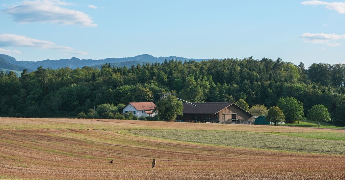 A serene rural landscape featuring a farmhouse and fields under a clear blue sky, surrounded by lush forests.