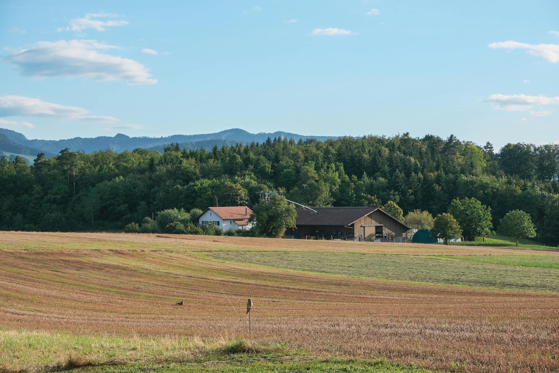 A serene rural landscape featuring a farmhouse and fields under a clear blue sky, surrounded by lush forests.