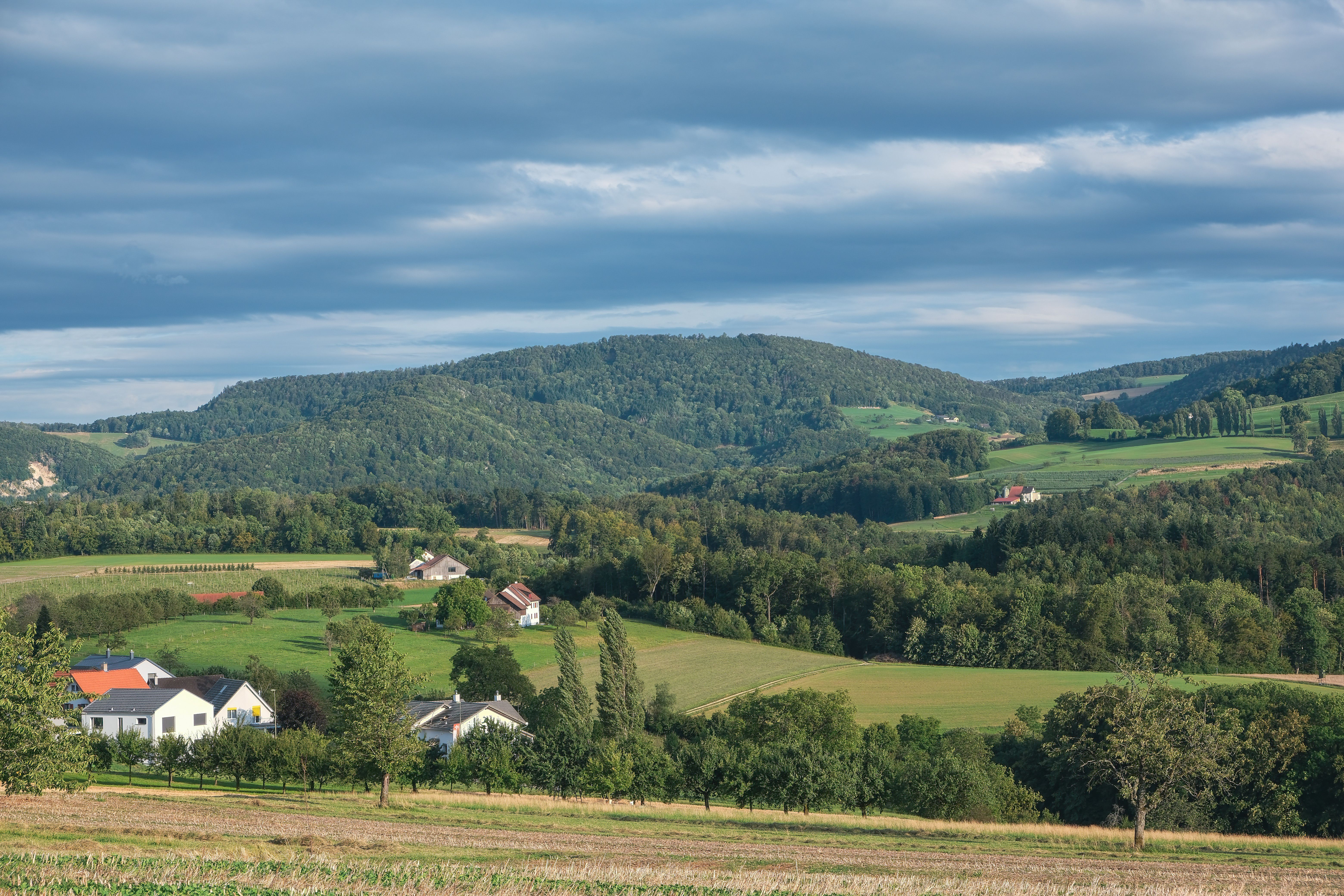 Rural Landscape with Trees and Fields · Free Stock Photo