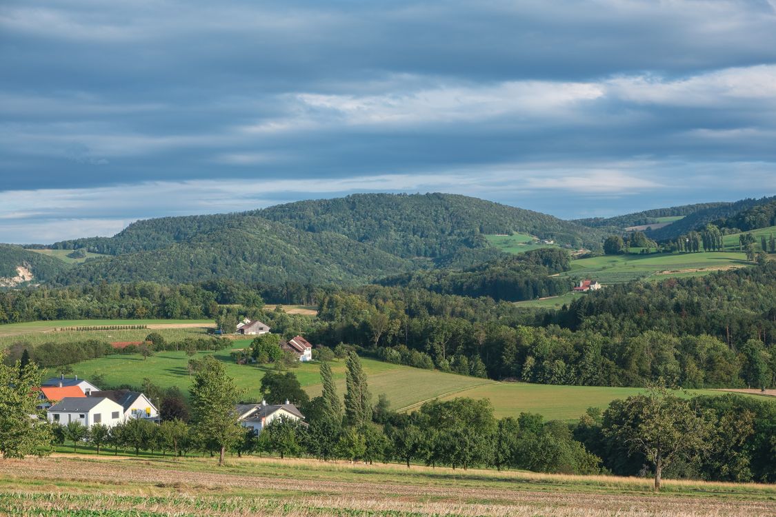 Rural Landscape with Trees and Fields · Free Stock Photo