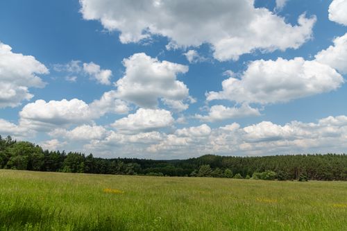 Free Lush green meadow surrounded by forest under a vibrant blue sky with fluffy clouds. Stock Photo