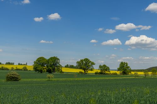 Free A lush green countryside landscape with trees and fields under a bright blue sky. Stock Photo
