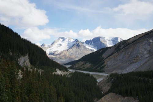 Бесплатное стоковое фото с горы, джаспер, джаспер канада