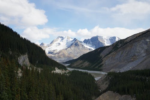 Darmowe zdjęcie z galerii z góry, jasper canada, jaspis