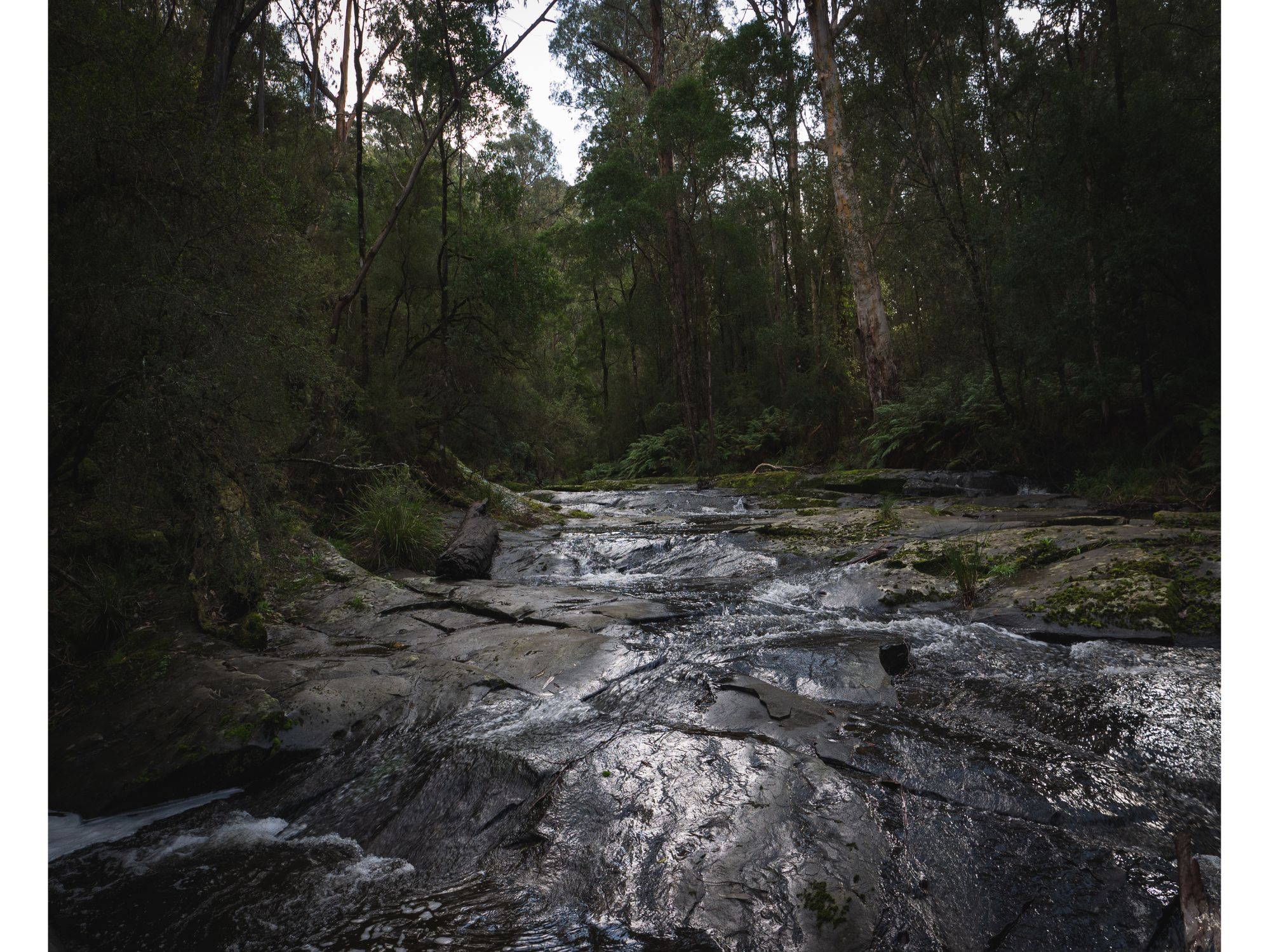 Shallow Stream With Rocks Shallow Stream Flowing on Plain Rocks · Free Stock Photo