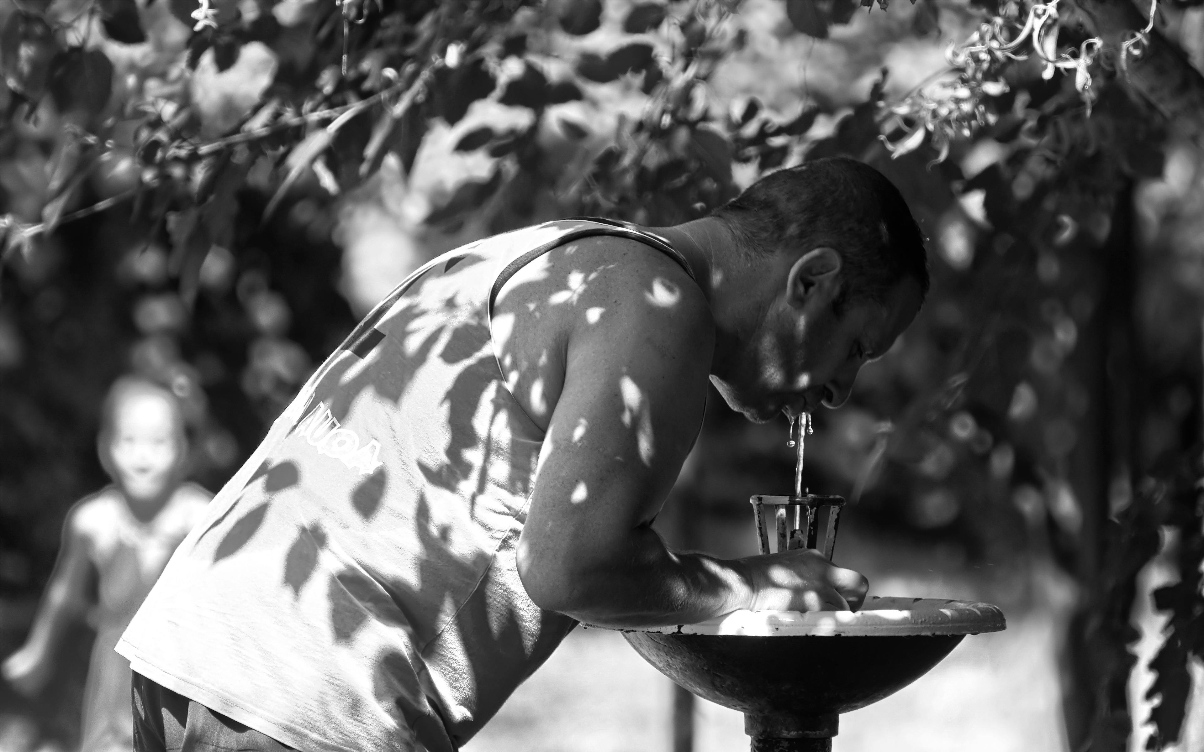 Free stock photo of black and white, man drinking water under a tree, tree