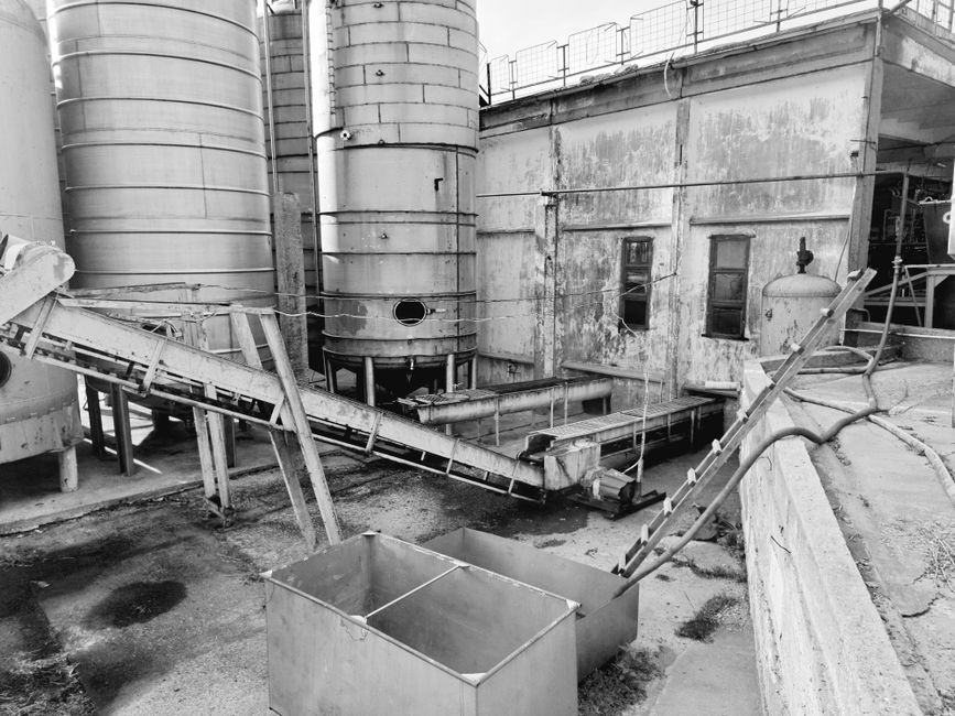 warehouse conveyor belt packages
