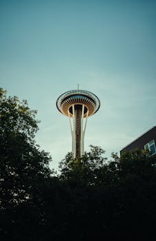 image.mefiz.com