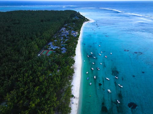 Foto stok gratis bahtera, fotografi udara, hutan