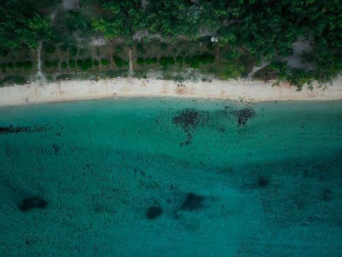 deniz, deniz kıyısı, deniz manzarası içeren Ücretsiz stok fotoğraf