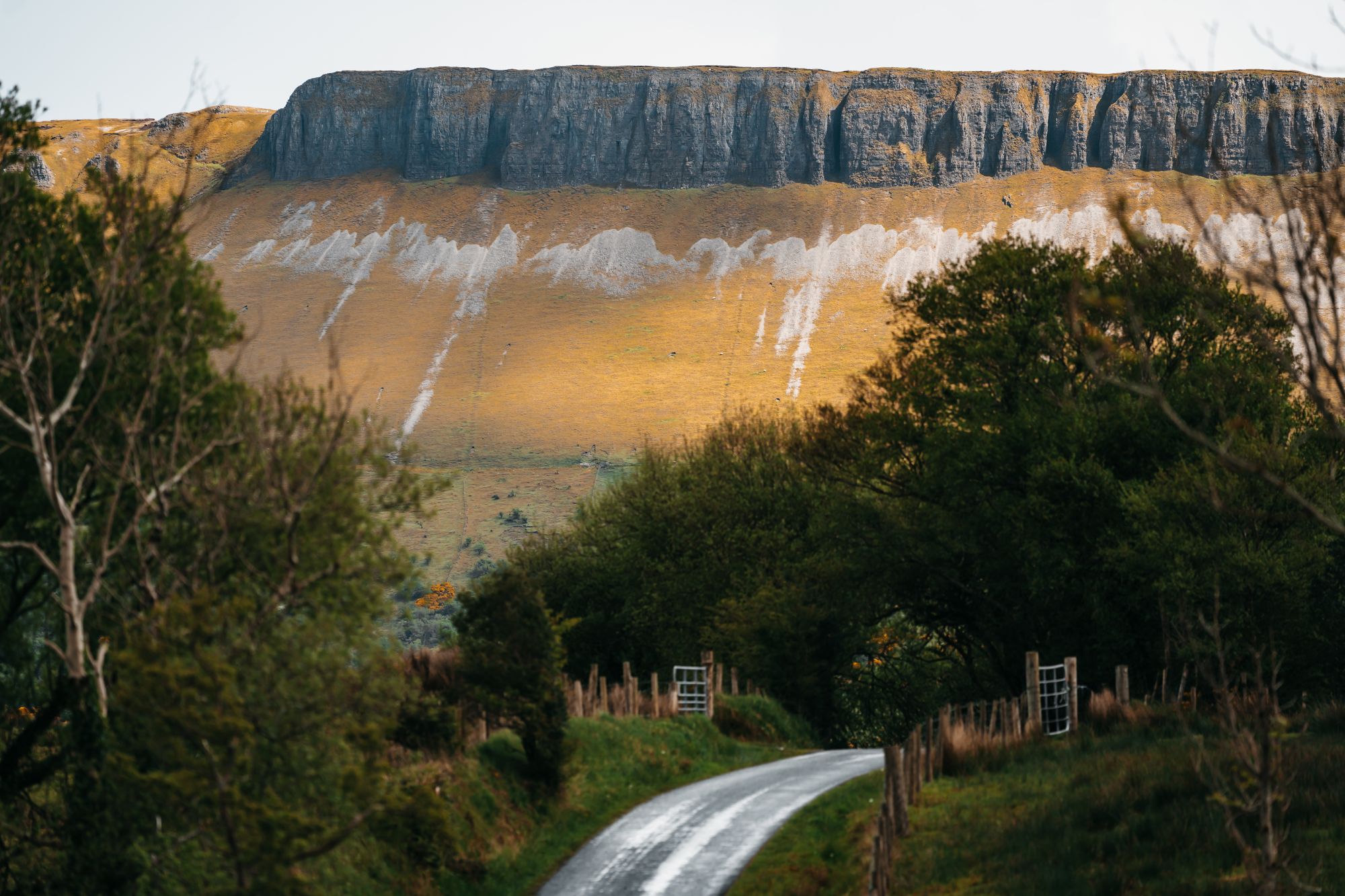 Sligo