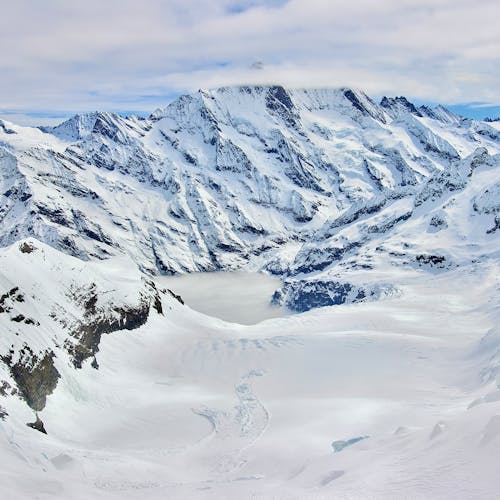 Foto profissional grátis de Alpes Suíços, Jungfraujoch-topo da Europa, neve