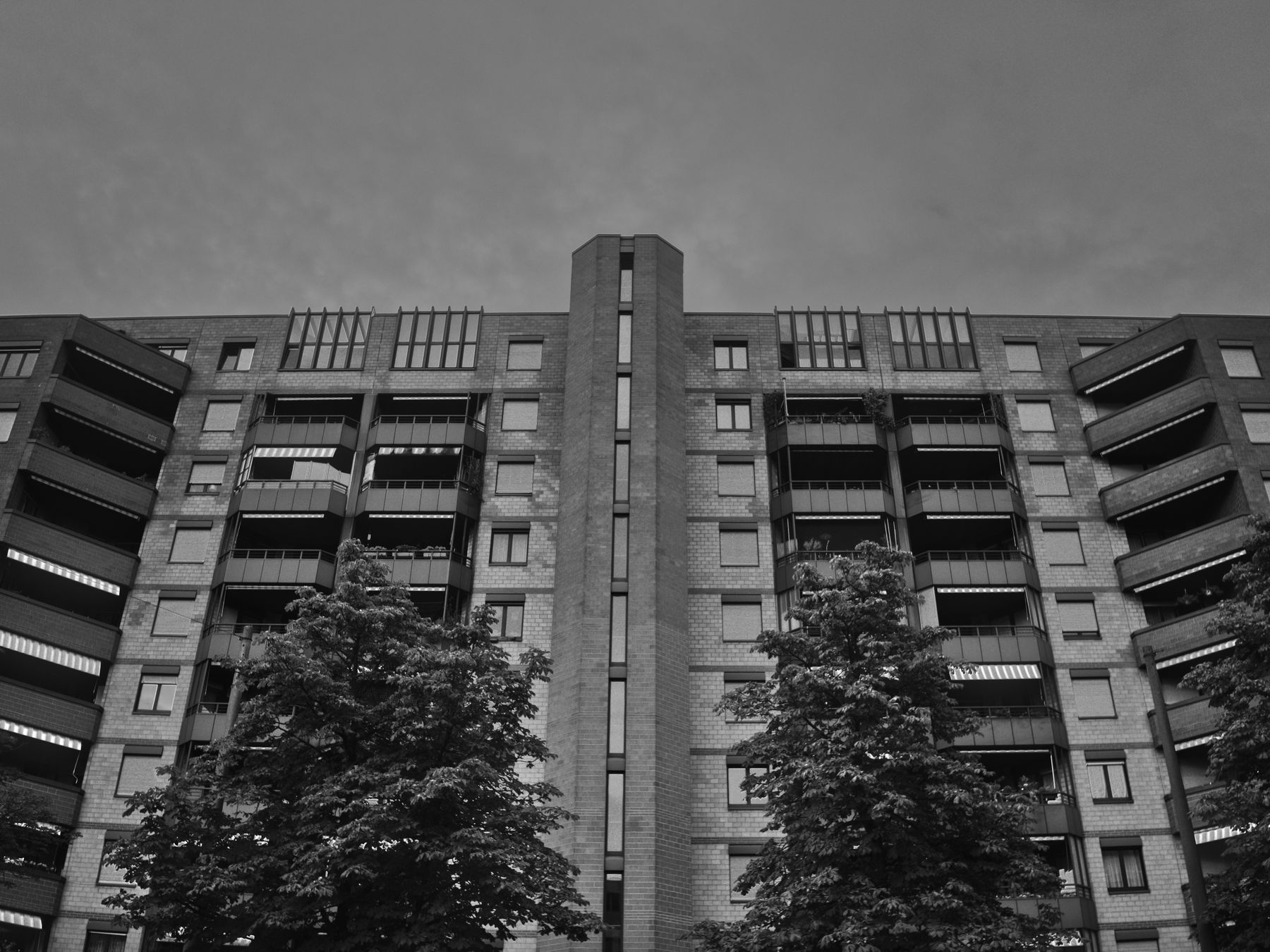 Hurlingham — student move with boxes and a van