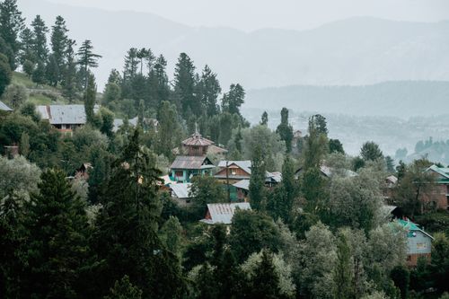 Free Misty view of Tangmarg village nestled in lush hills with tall coniferous trees. Stock Photo