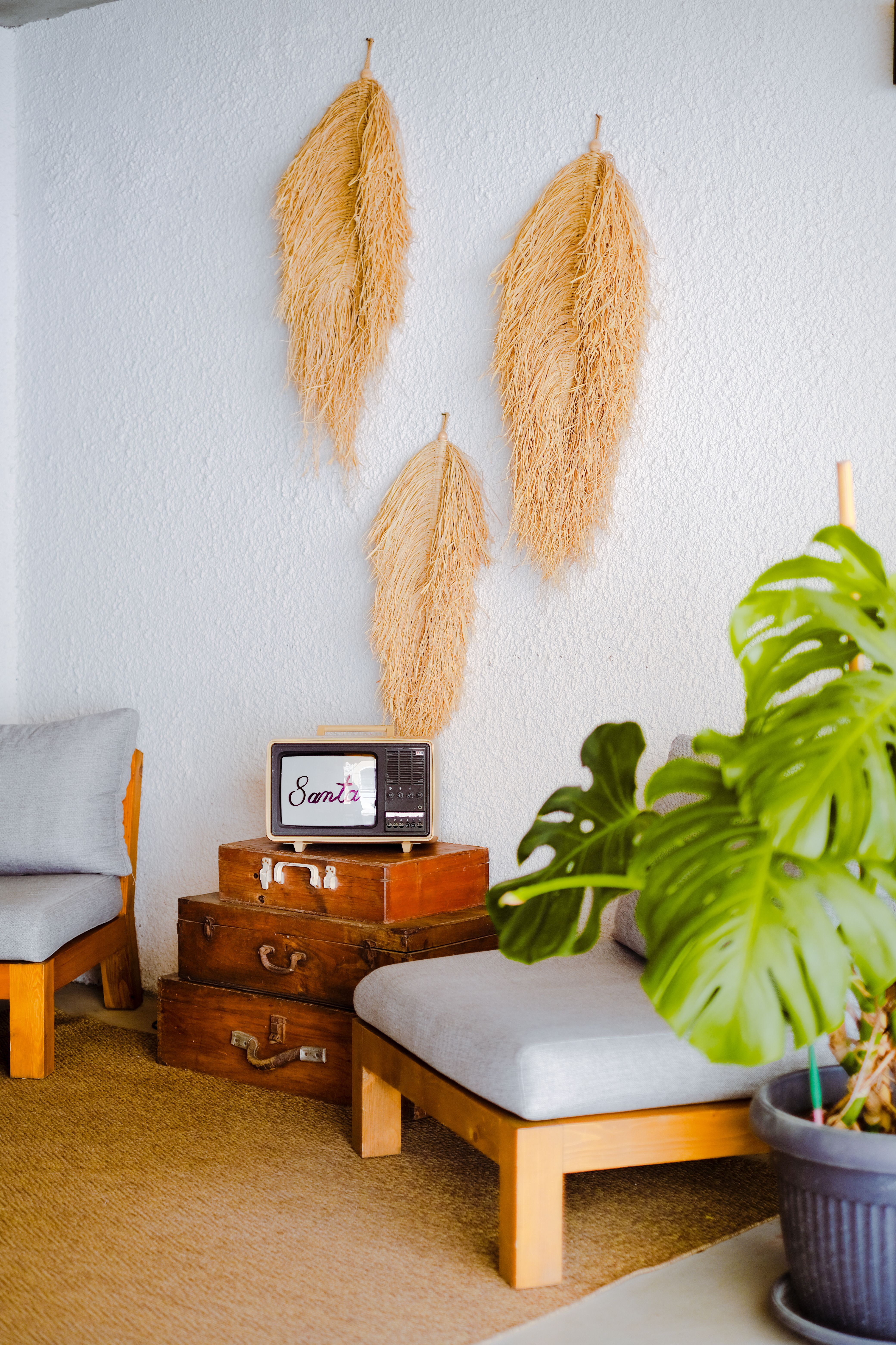 Room Decorated with Vintage Suitcases and Pampas Grass · Free Stock Photo