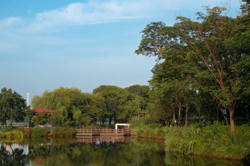 Free Peaceful park scene with trees reflecting on a calm lake under a clear blue sky. Stock Photo