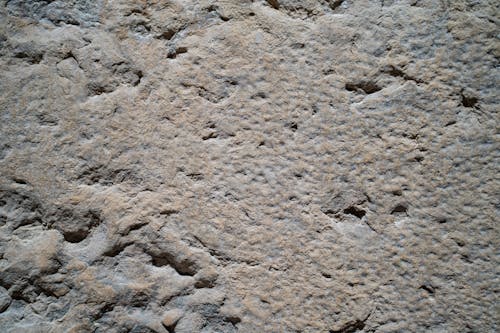 Immagine gratuita di muro castello, muro pietra, muro texture