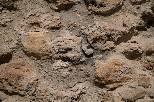 Kostnadsfri bild av forntida väggen, textury