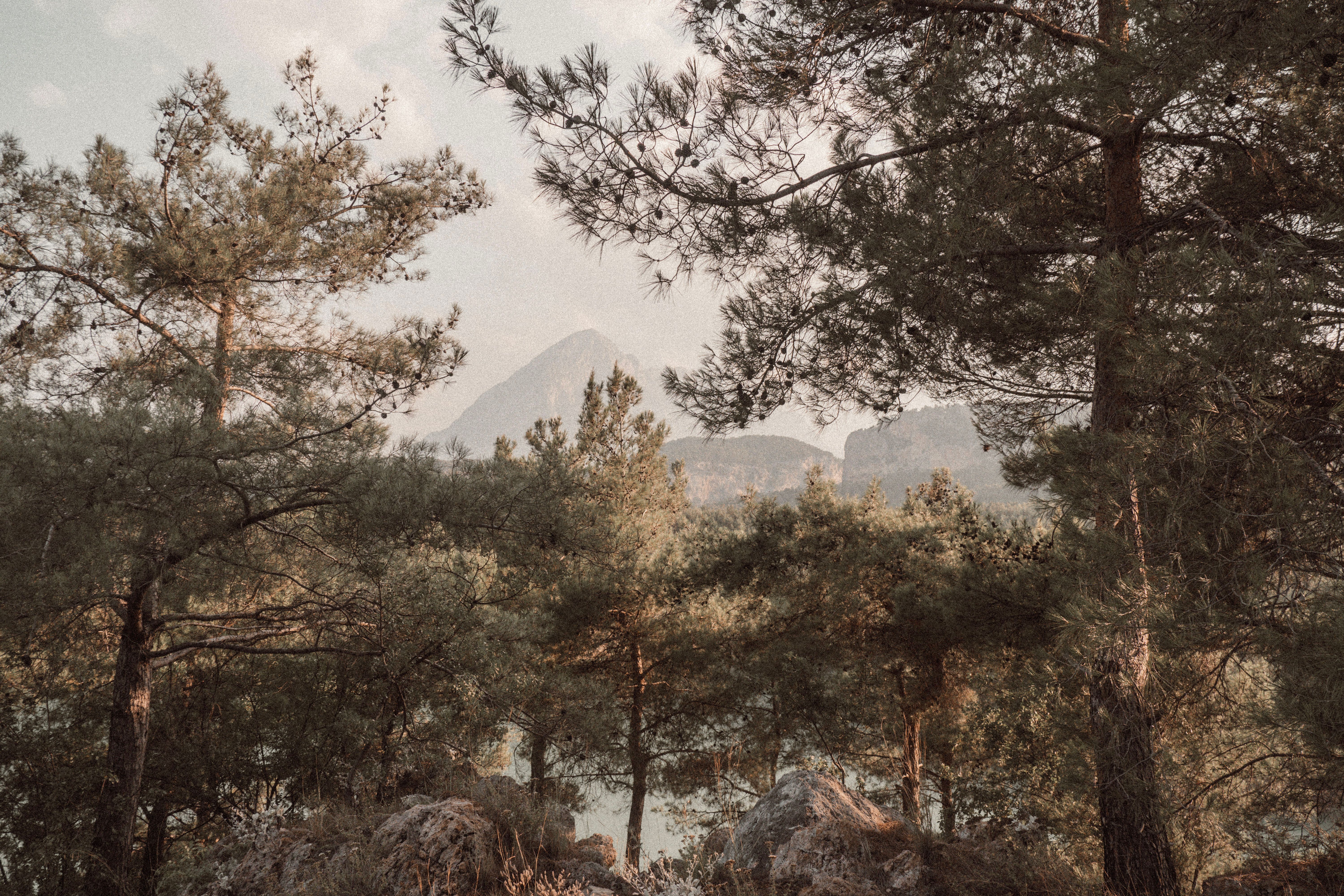6 Day Yoga Retreat with Hiking & Fjords Adventures, Norway 1