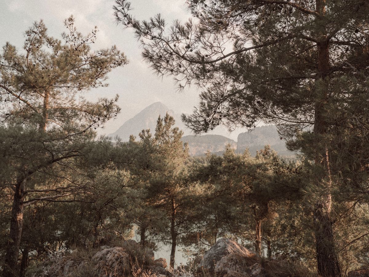 6 Day Yoga Retreat with Hiking & Fjords Adventures, Norway 1