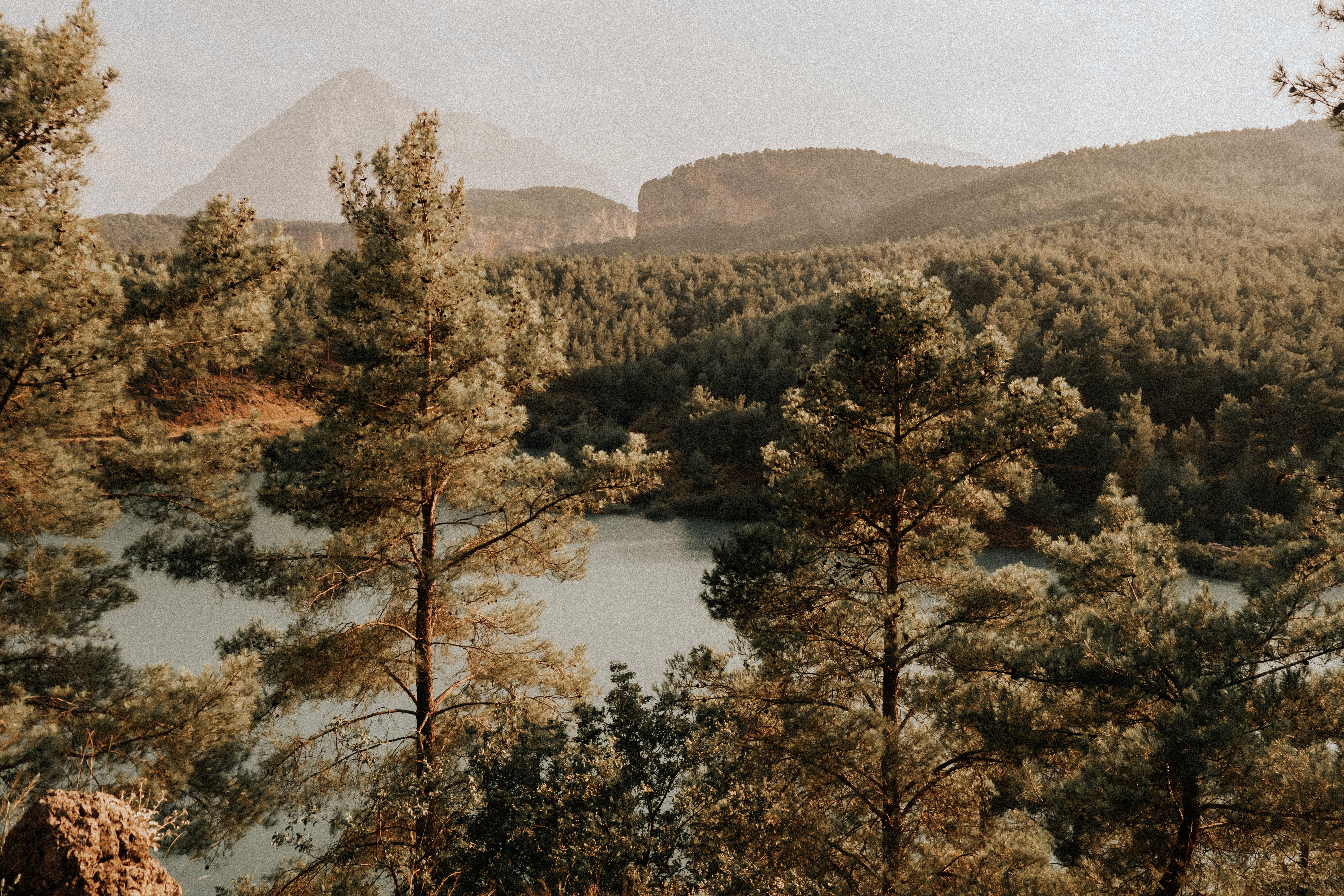 6 Day Yoga Retreat with Hiking & Fjords Adventures, Norway 3