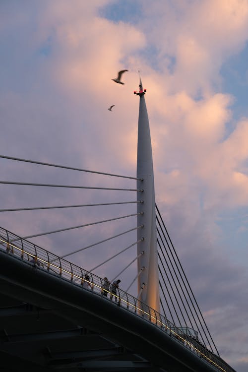 Low Angle Shot of Halic Bridge in Istanbul
