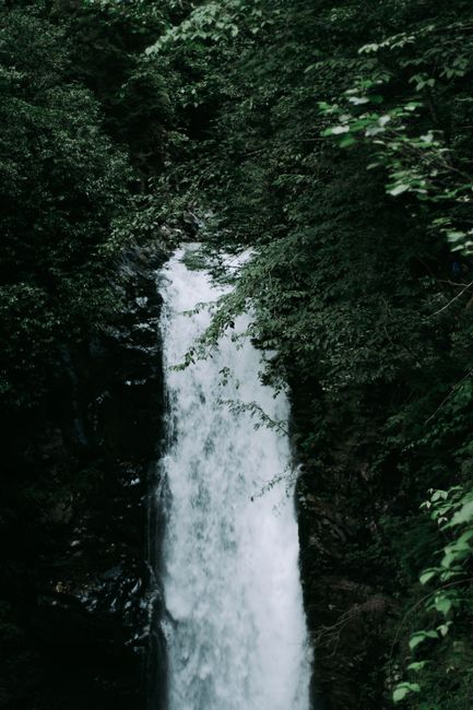 A tranquil waterfall cascades through lush green forest foliage, creating a serene natural scene.