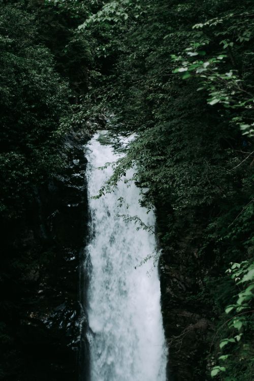 Free A tranquil waterfall cascades through lush green forest foliage, creating a serene natural scene. Stock Photo