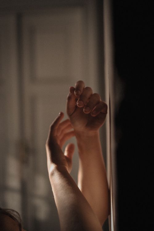 Free Close-up of a person's hands in soft light, providing a gentle and artistic view. Stock Photo