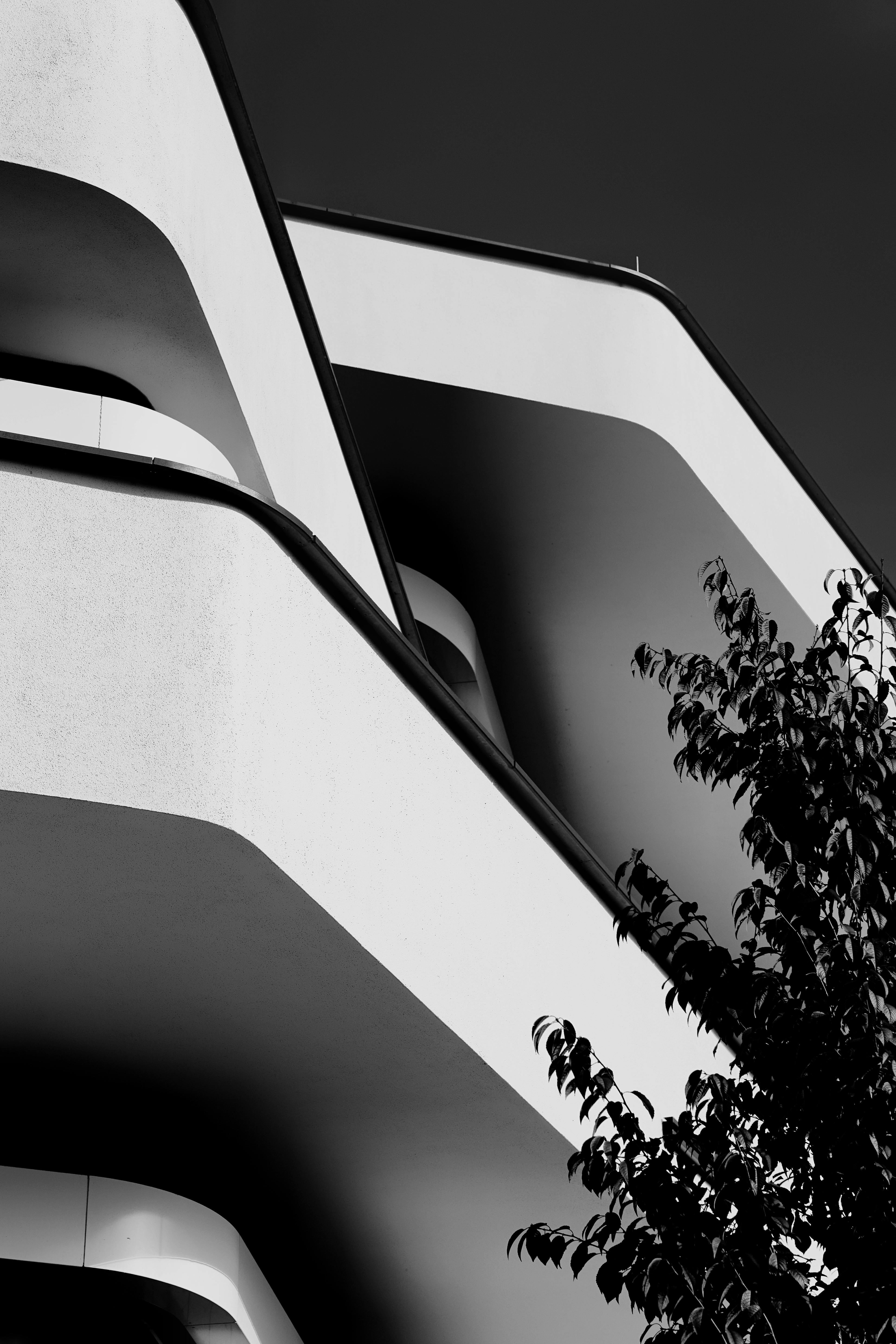 High contrast black and white image of modern architectural design with sleek lines.