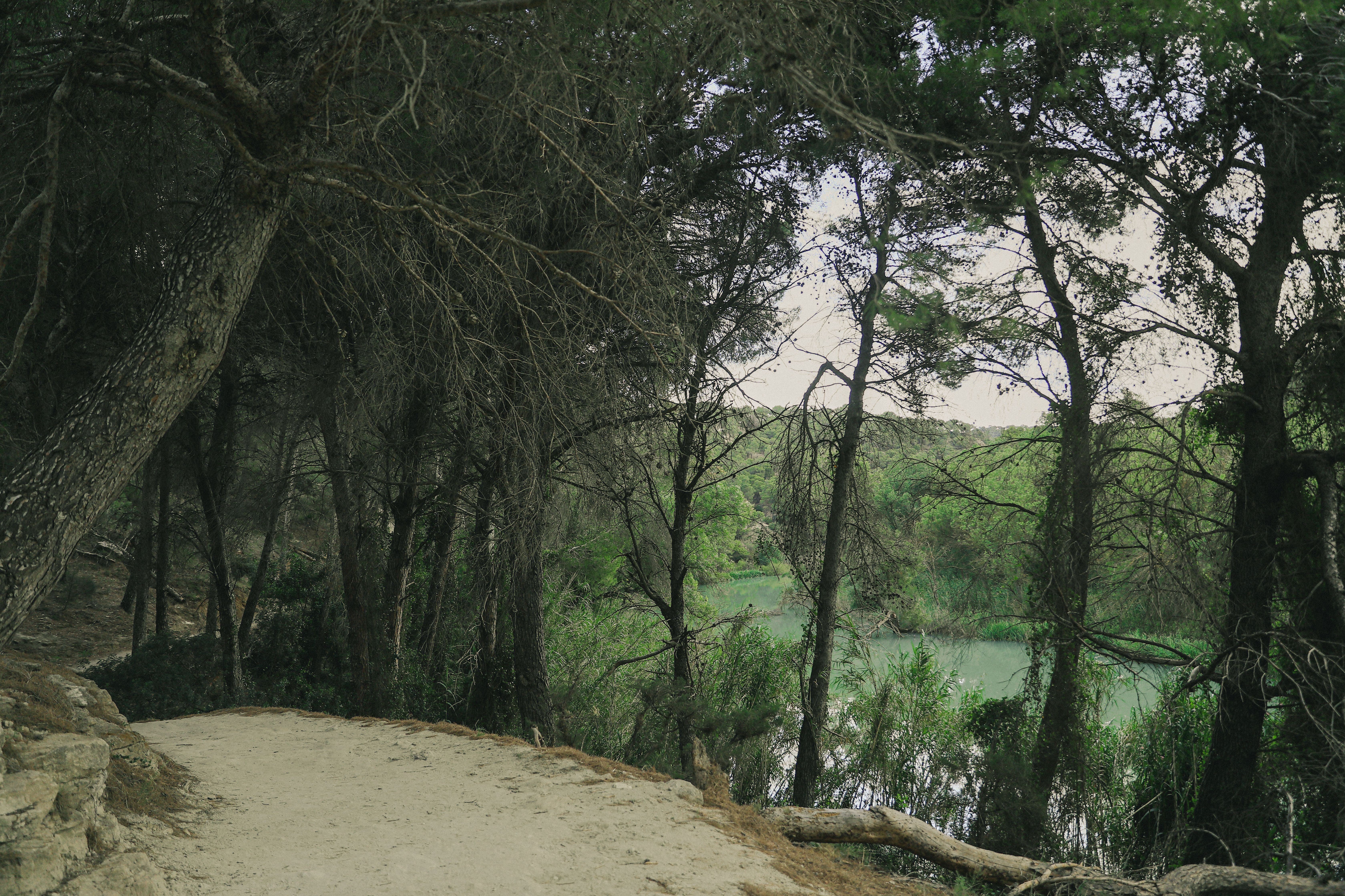 10 Day of Yogi Heartful Life Retreat in Valencia, Spain 3