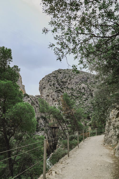 Photos gratuites de allées piétonnes, barrière, caminito del rey