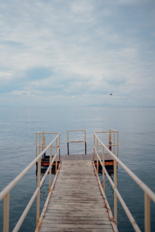 boş zaman, deniz, dikey atış içeren Ücretsiz stok fotoğraf