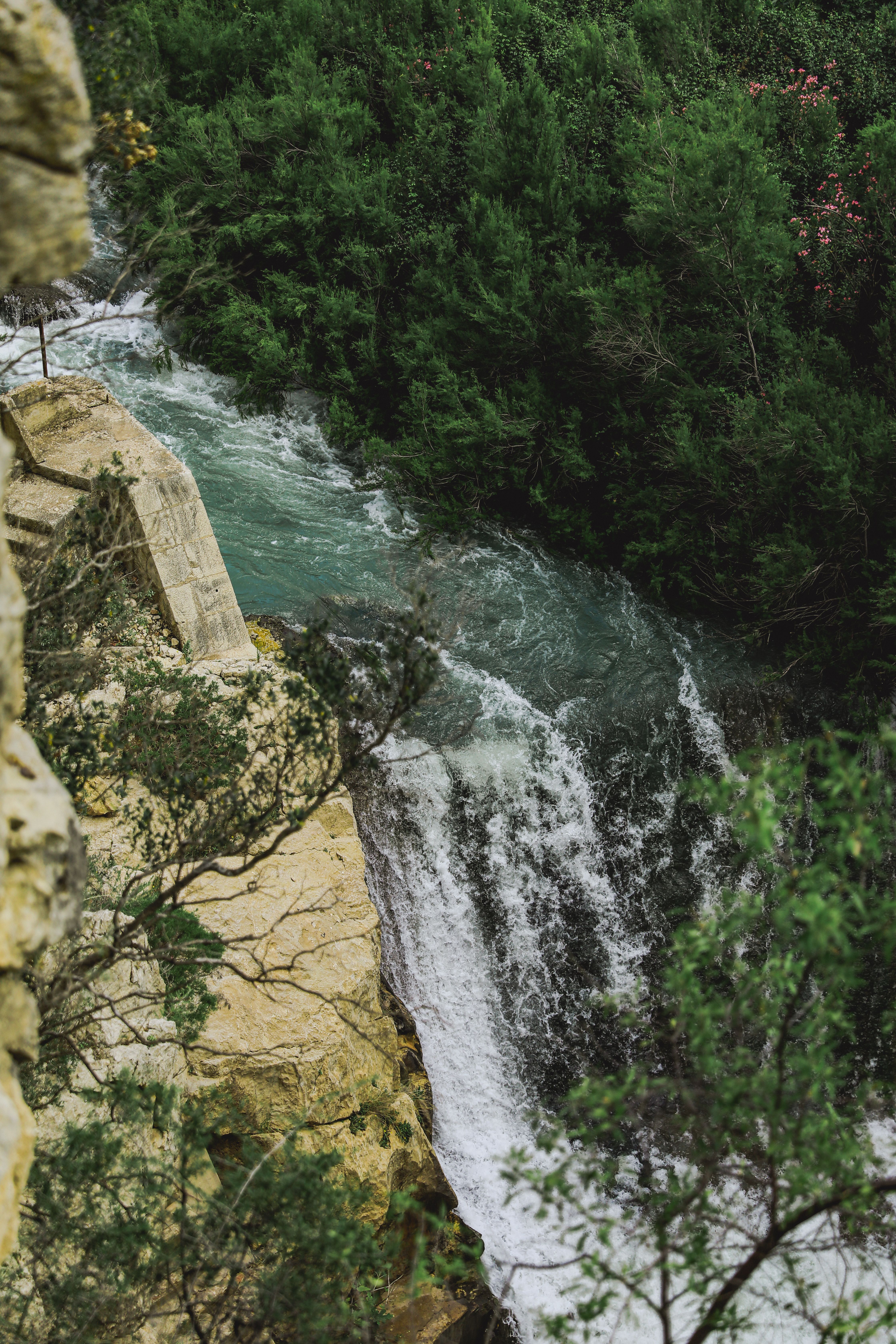 A waterfall is shown in the middle of a forest · Free Stock Photo