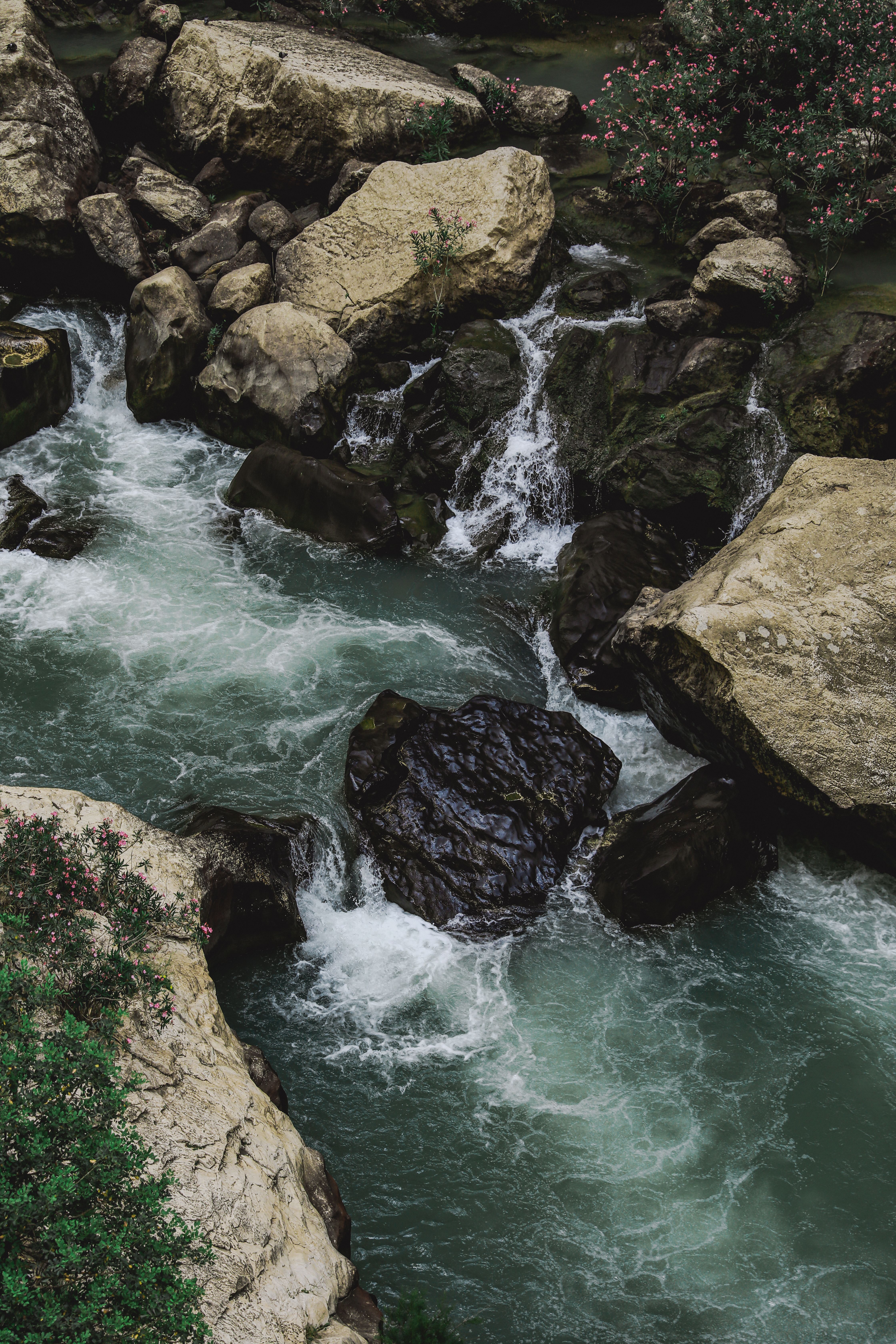 Beautiful overhead view of a rocky river with rapid flowing water and lush greenery.