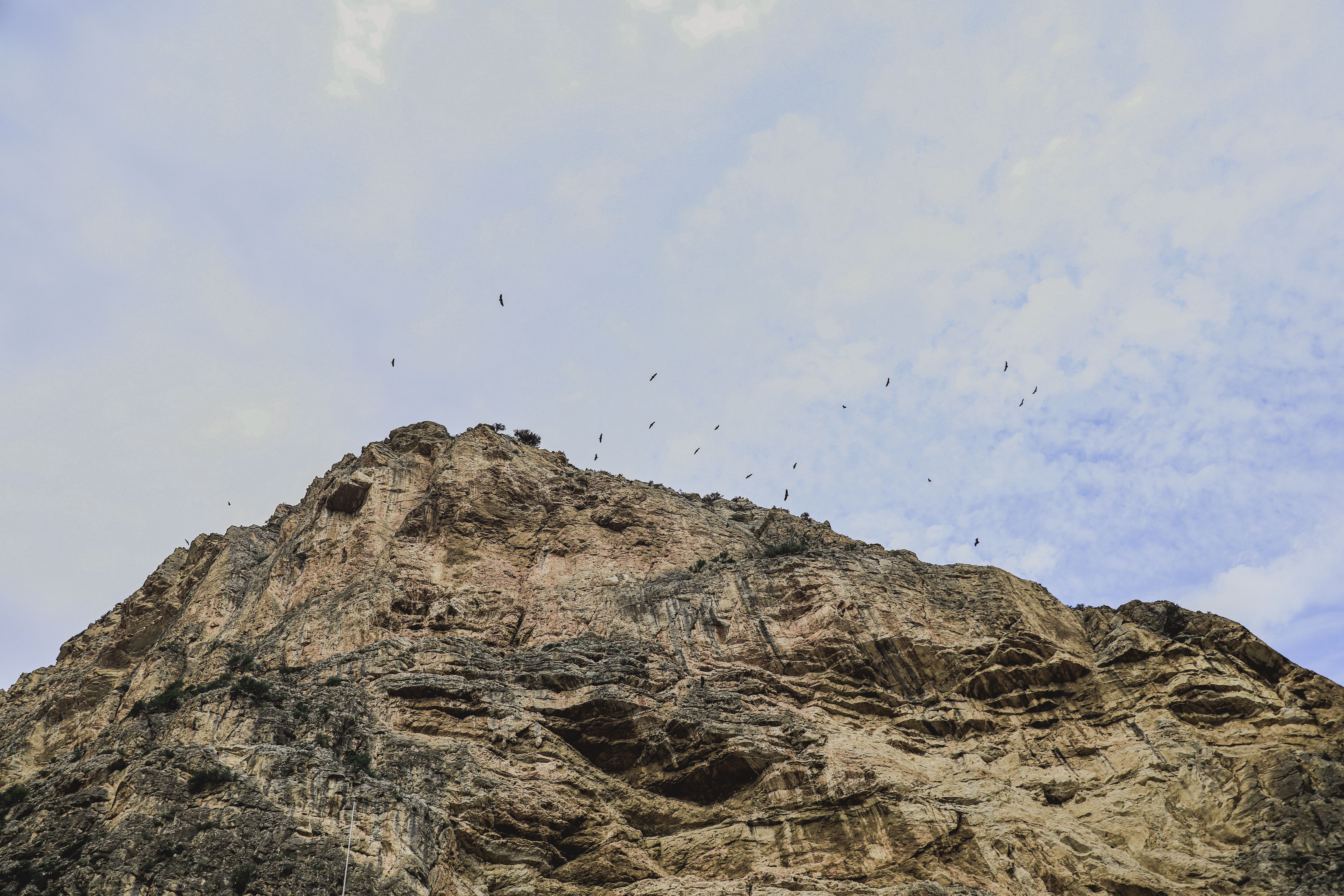 Rocky Cliff in a Mountain Valley · Free Stock Photo