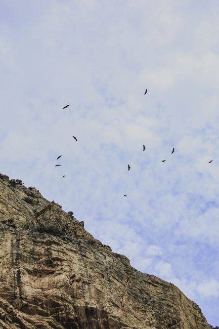 Birds soaring high above a rugged rocky cliff against a cloudy sky.